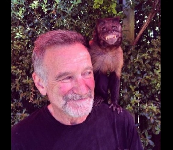 Robin Williams Photo (  )   /  - 1