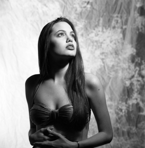 Angelina Jolie Photo (  )  ,     ,    /  - 9