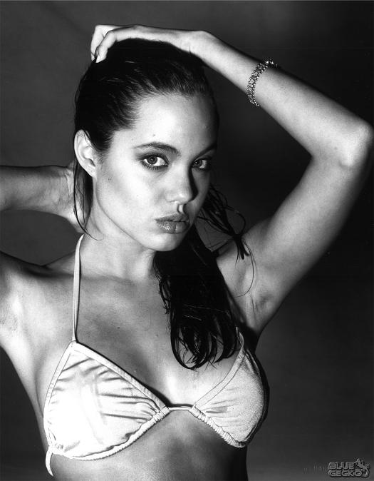 Angelina Jolie Photo (  )  ,     ,    /  - 87