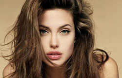 Angelina Jolie Photo (  )  ,     ,   